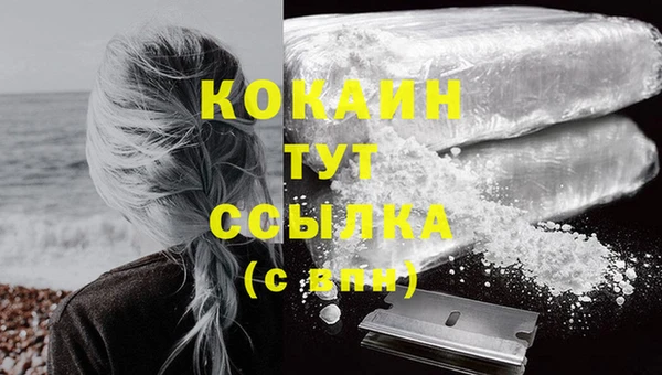 соль ск Кодинск