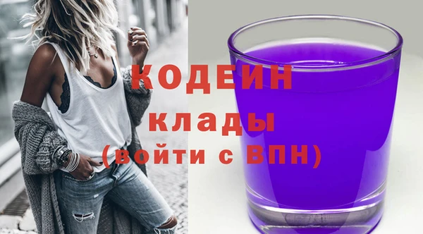 соль ск Кодинск