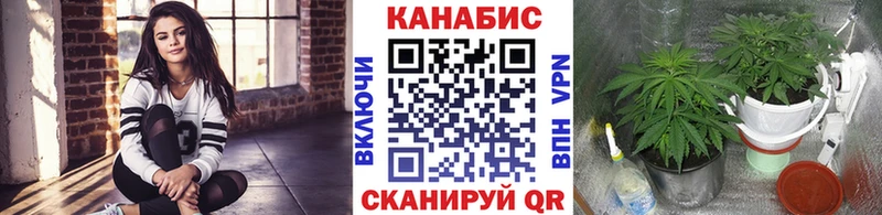 Купить закладки  Рузаевка  Каннабис VHQ 